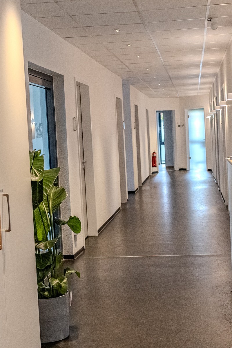 Heller Bueroflur mit gruener Pflanze weissen Waenden und grauem Boden