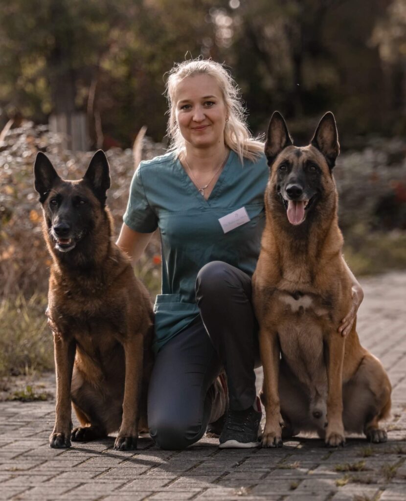 Laechelnde blonde Tieraerztin in gruener Kleidung mit zwei Malinois Hunden